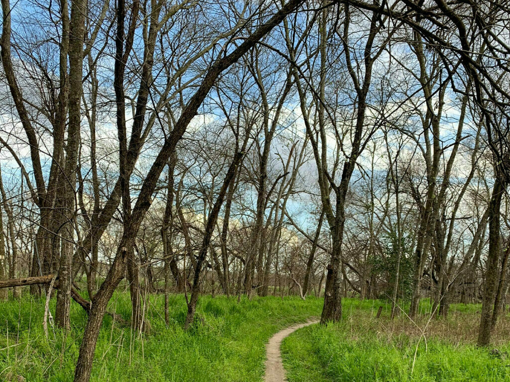 Duck Creek Greenbelt
