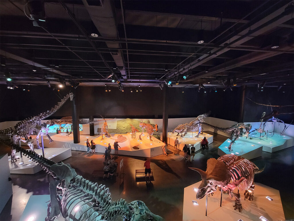 Houston Museum of Natural Science 1