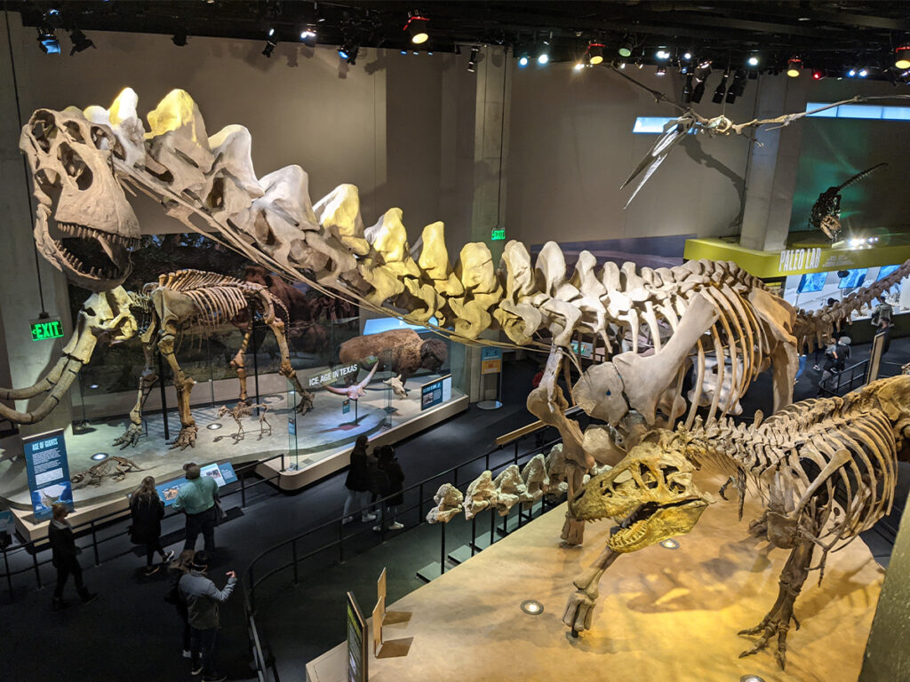 Dallas, TX 20 Perot Museum of Nature and Science